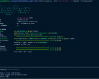 AnyDesk预认证堆缓冲区溢出远程代码执行漏洞(CVE-2026-109390)安全风险通告