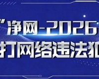 非法破解无人机飞控系统并加价兜售牟利，深圳一人获刑8个月